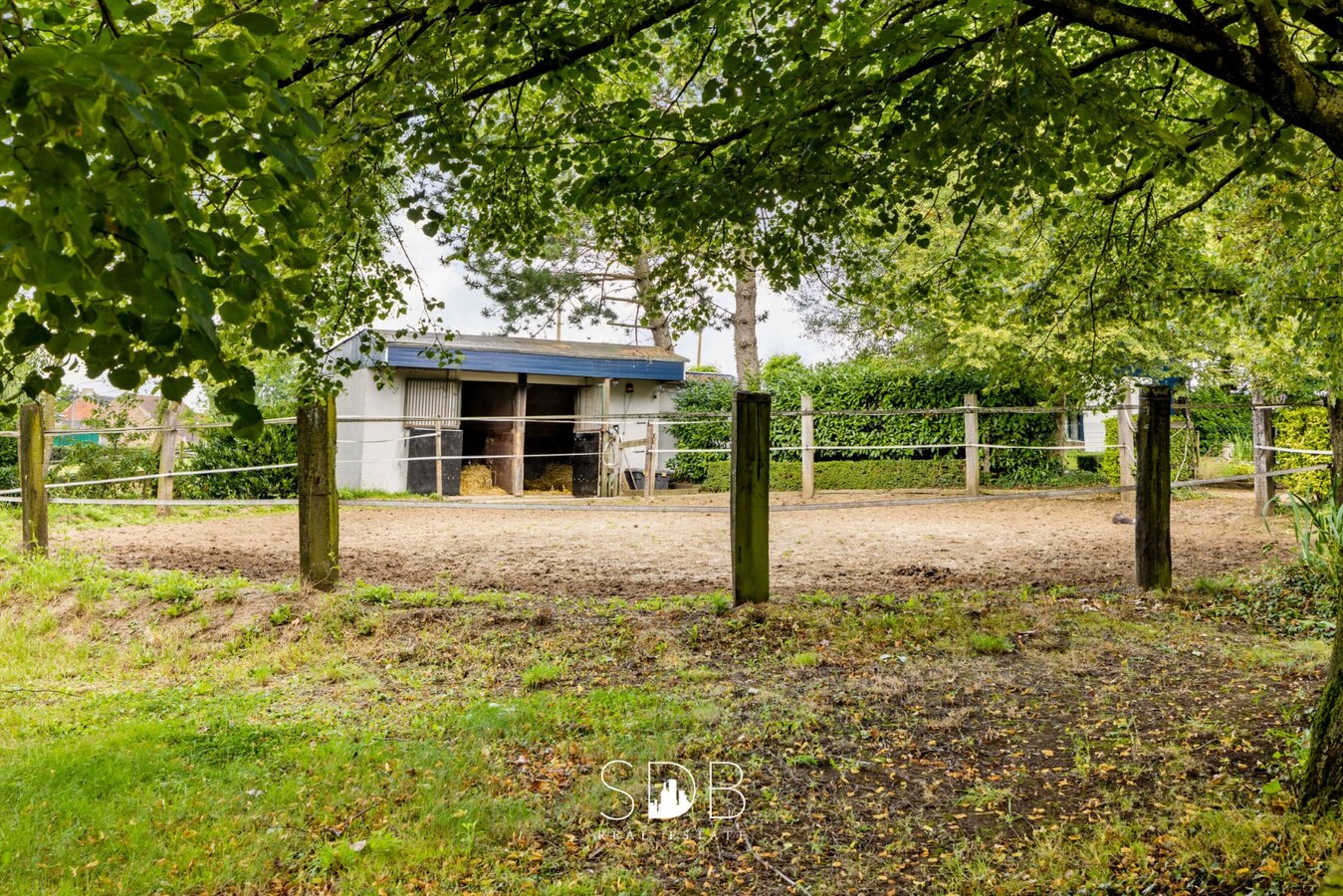 Hedendaagse woning met hippisch complex op circa 2hectare 