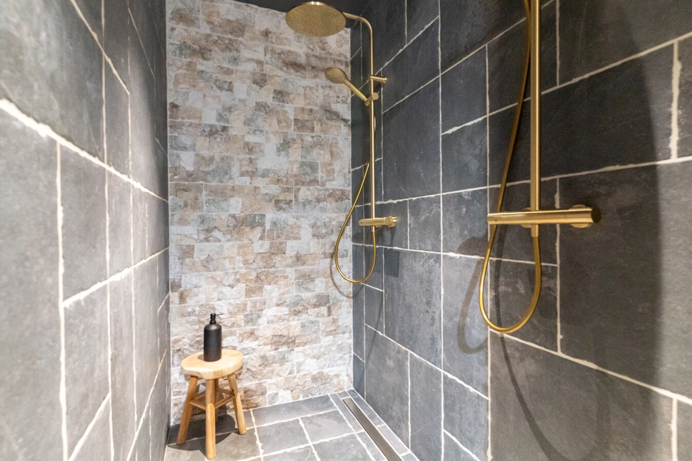 Ensemble immobilier érigé sur 2448m² (Corps de ferme, profession libérale, SPA Airbnb) 