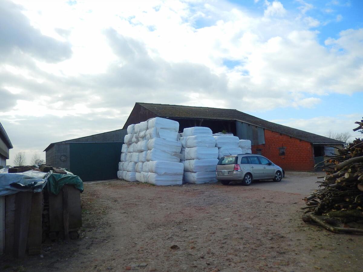 Te renoveren hoeve met stallen en weiland 