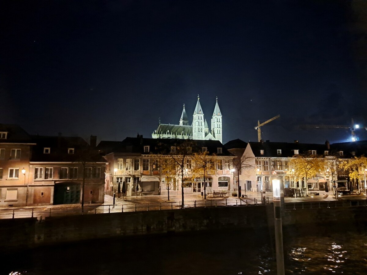 Belle maison bourgeoise avec jardin et garage 