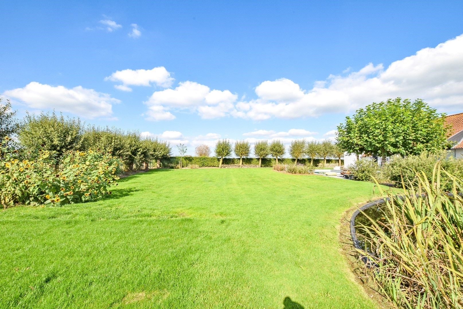 Instapklare woning met loods gelegen in een doodlopende straat 