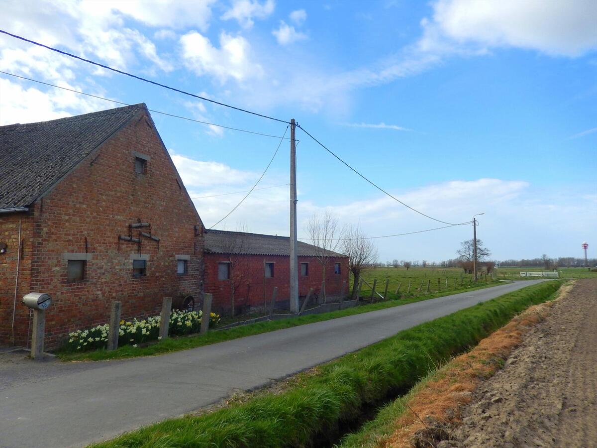 Te renoveren hoeve met stallen en weiland 