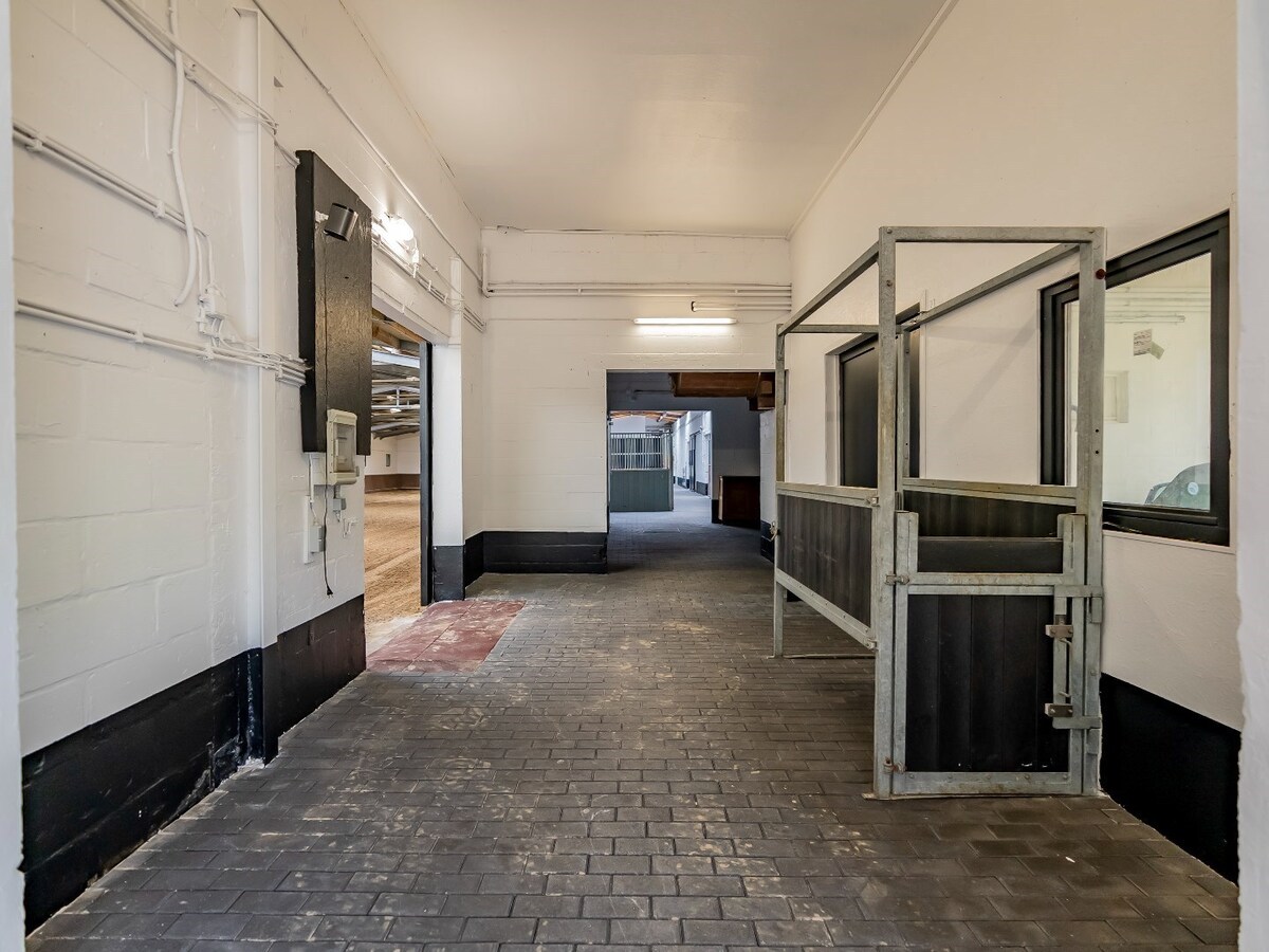 Prachtig hippische accomodatie op ca. 5,2 ha te Herselt 
