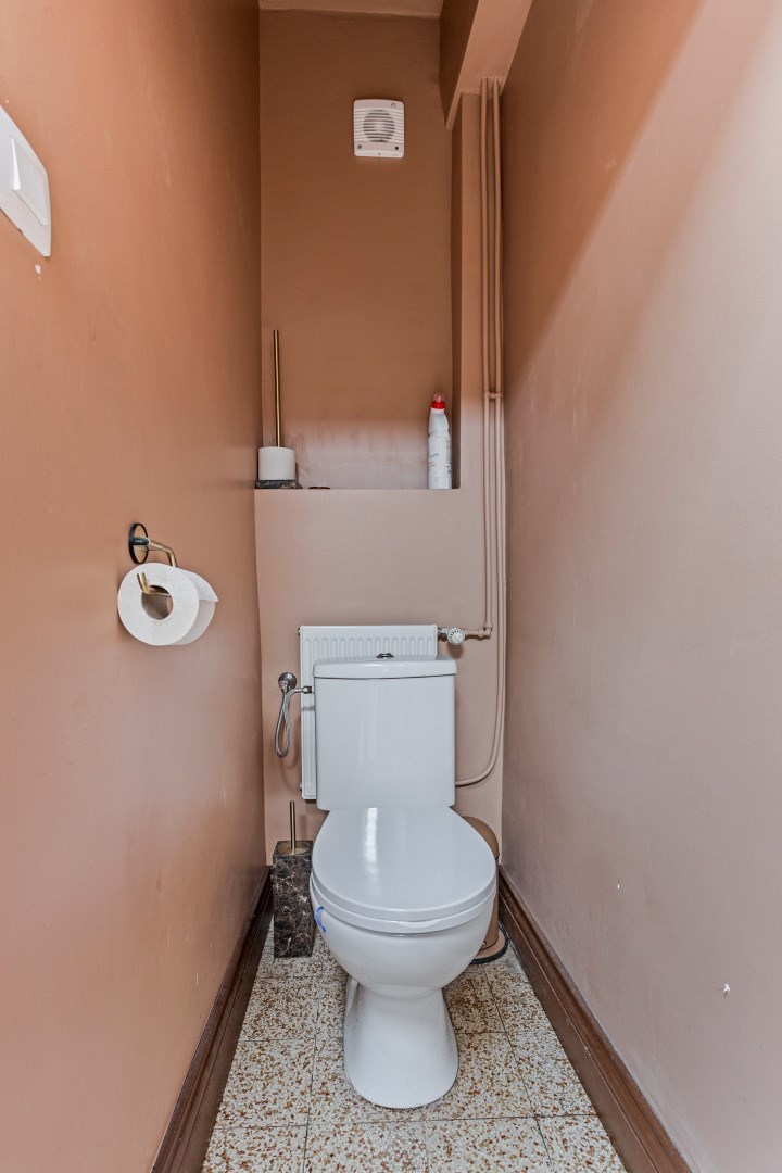 toilet 1