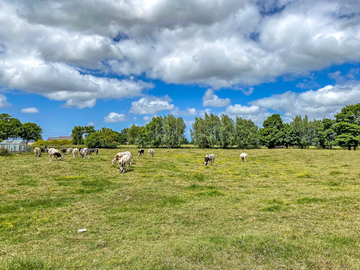 Verkocht woning - Veurne