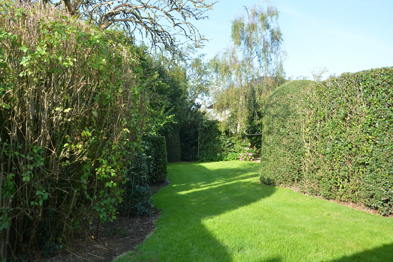 Karaktervolle woonst op rustige ligging 