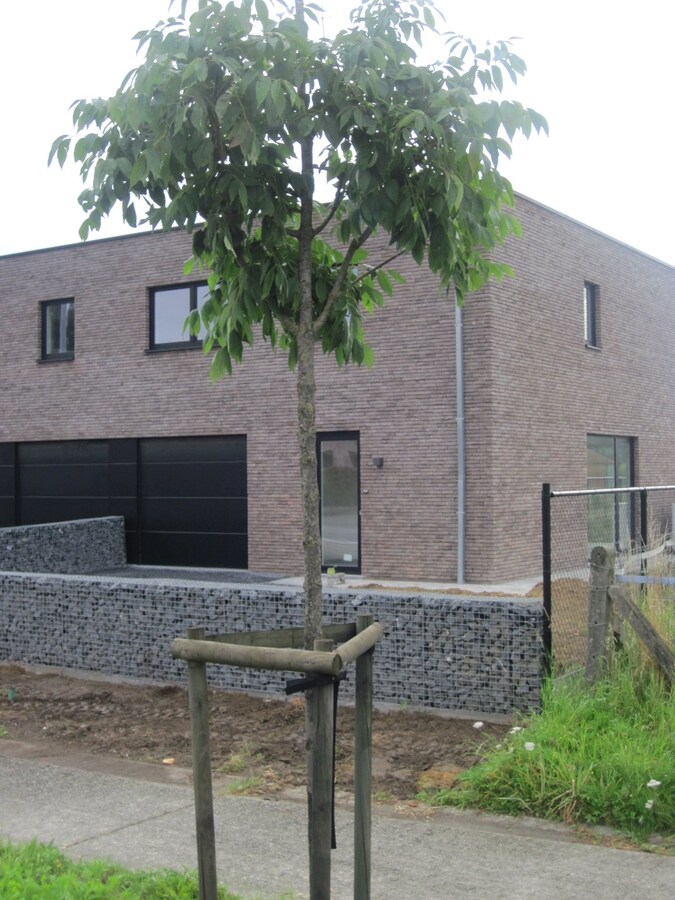 Eigentijdse nieuwbouwwoning 