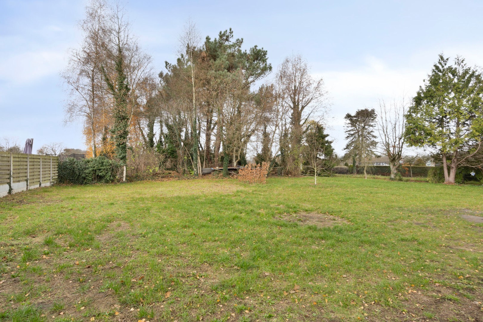 Te renoveren hoeve op 23a 16ca in een rustige omgeving te Mol 