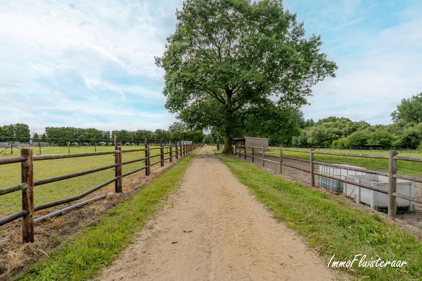 Prachtige professionele paardenaccommodatie op ca. 10 ha te Oudbergen 