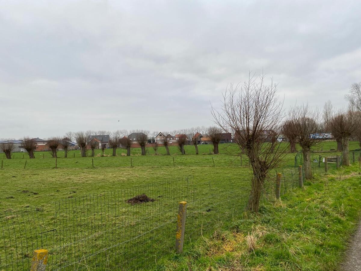 Stuk weiland te Roksem 