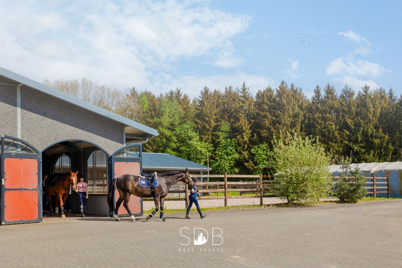 Hippische Complex met woonhuis en appartement op circa 31 Hectare 