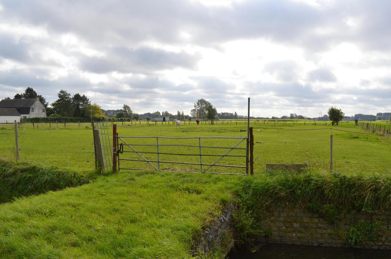 Te renoveren woning met loods en weide op 7.327m² te Zele 