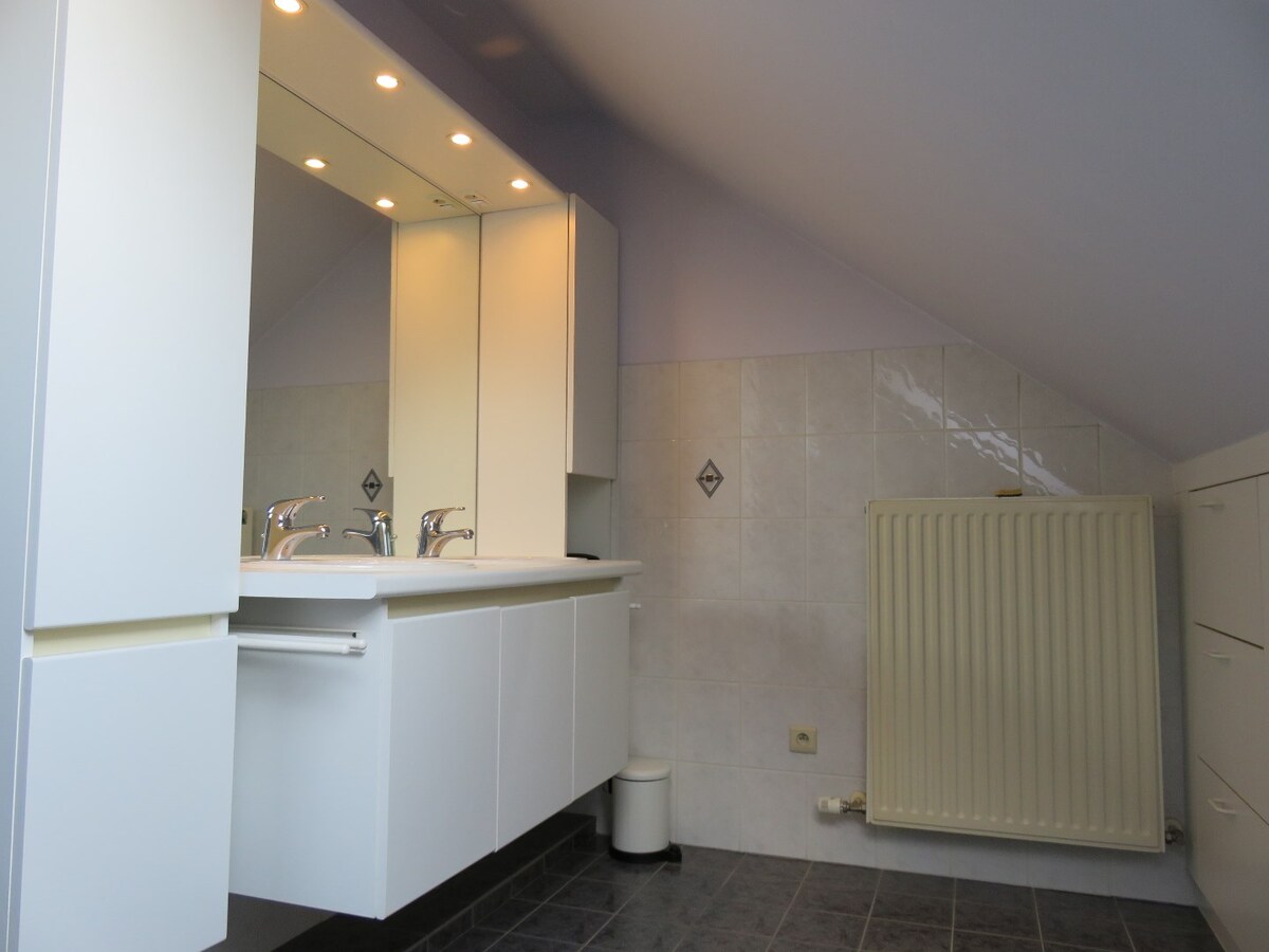 RUIM DAKAPPARTEMENT MET 2 SLAAPKAMERS IN CENTRUM BERINGEN 