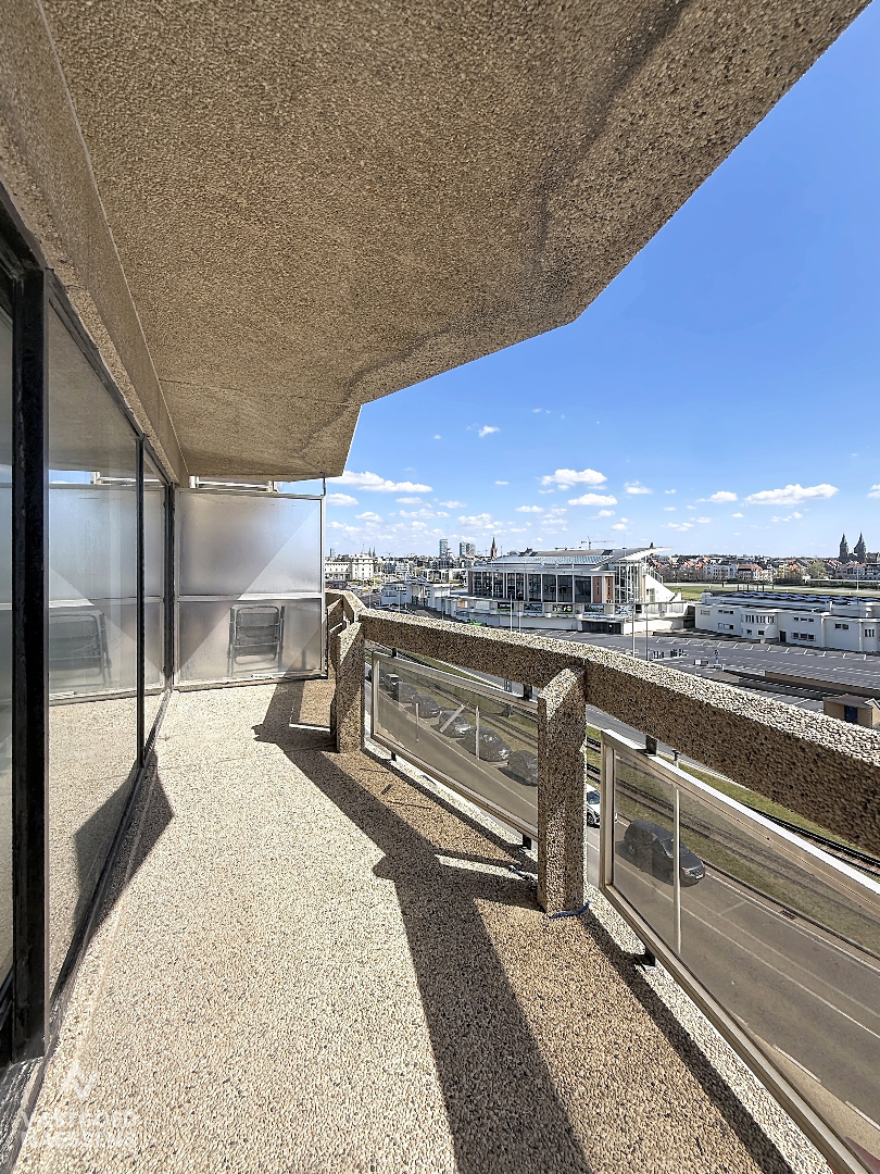 Studio prêt à emménager avec coin chambre et terrasse ensoleillée 