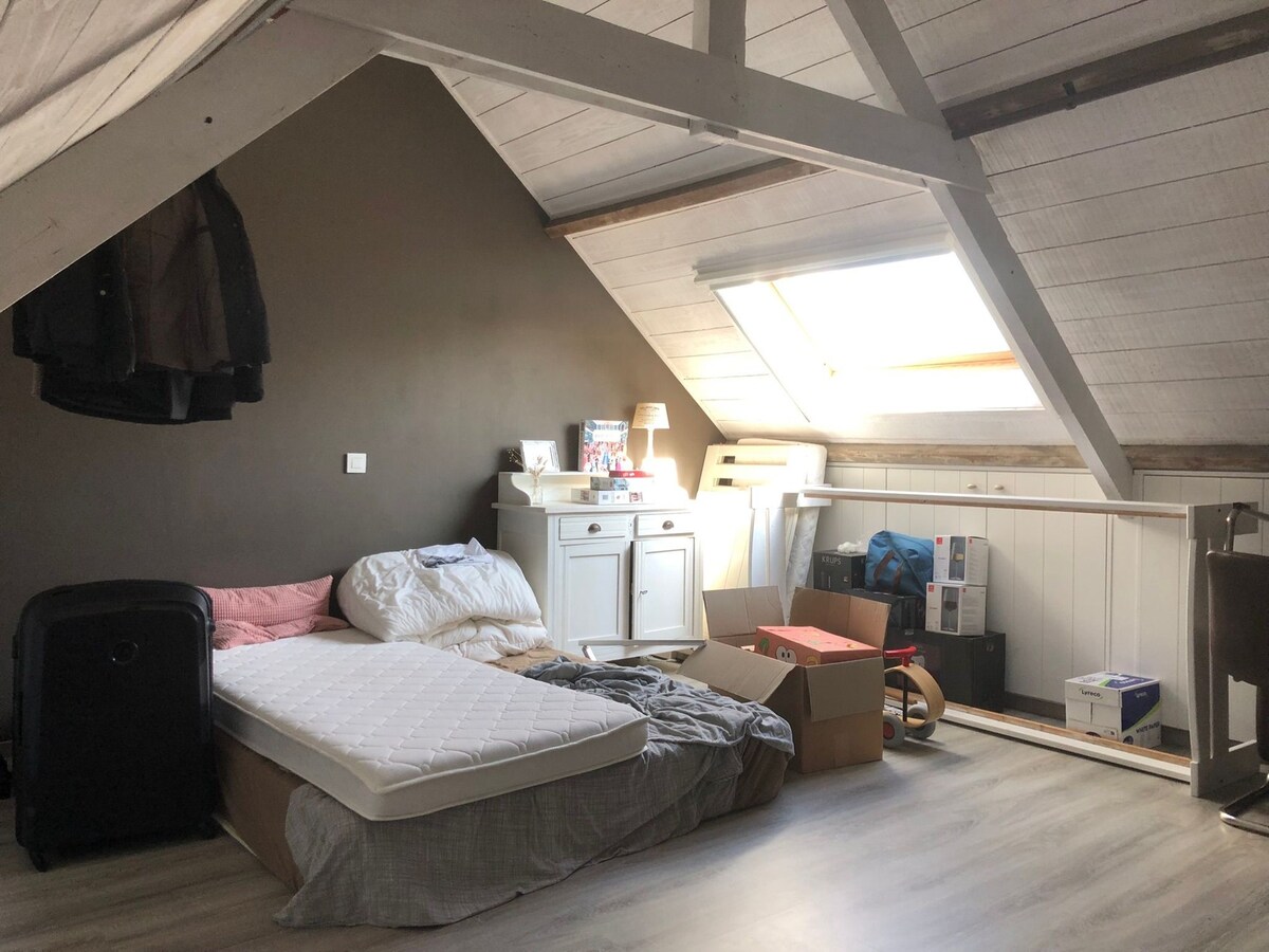 Alleenstaande woning met 5 slaapkamers en diepe tuin te Zarren 