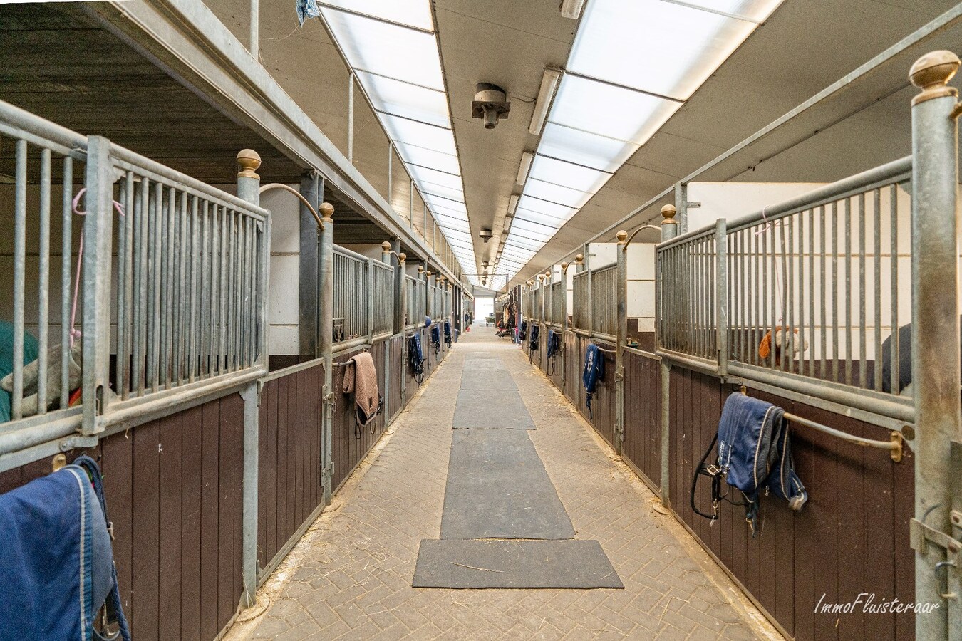 Volledig uitgeruste paardenaccommodatie op ca. 4,2 ha nabij Herentals 