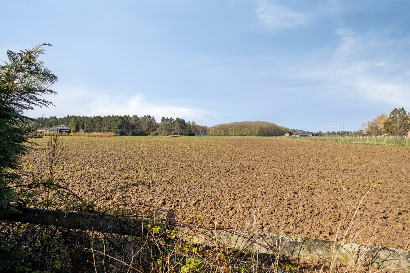 Open bebouwing in Blanden (Oud-Heverlee) op een toplocatie 