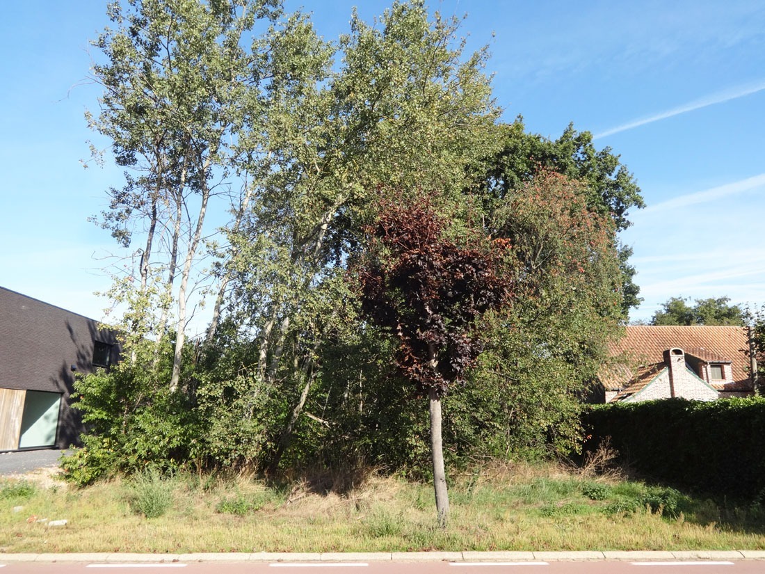 Verkocht grond - Zolder