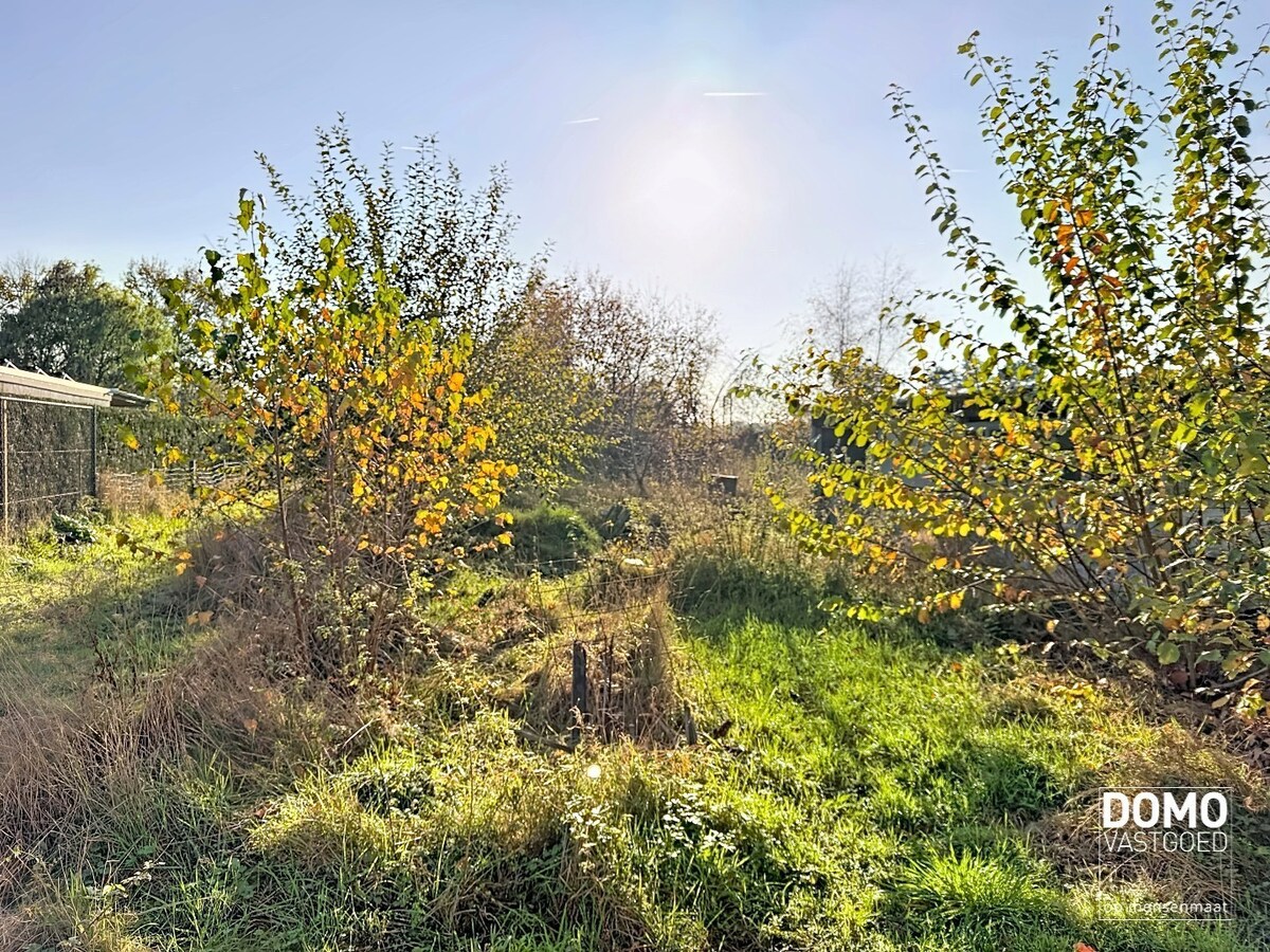 PROJECTGROND VOOR 2 HOB 