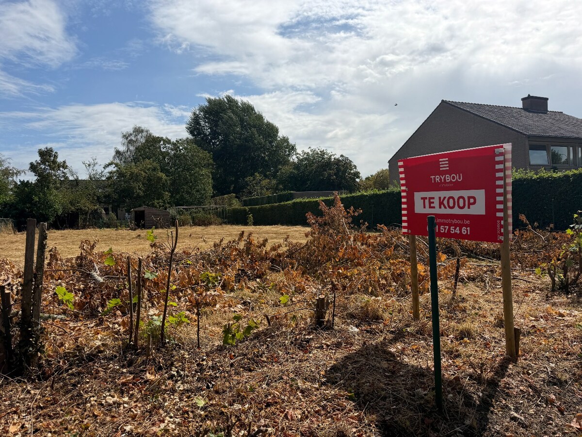 Unieke bouwgrond te koop in Diksmuide op een perceel van 730m²! 