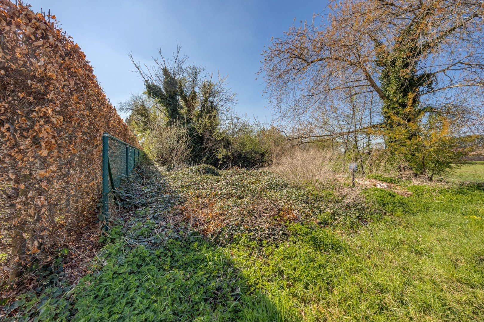 Charmante bouwgrond in rustige omgeving 