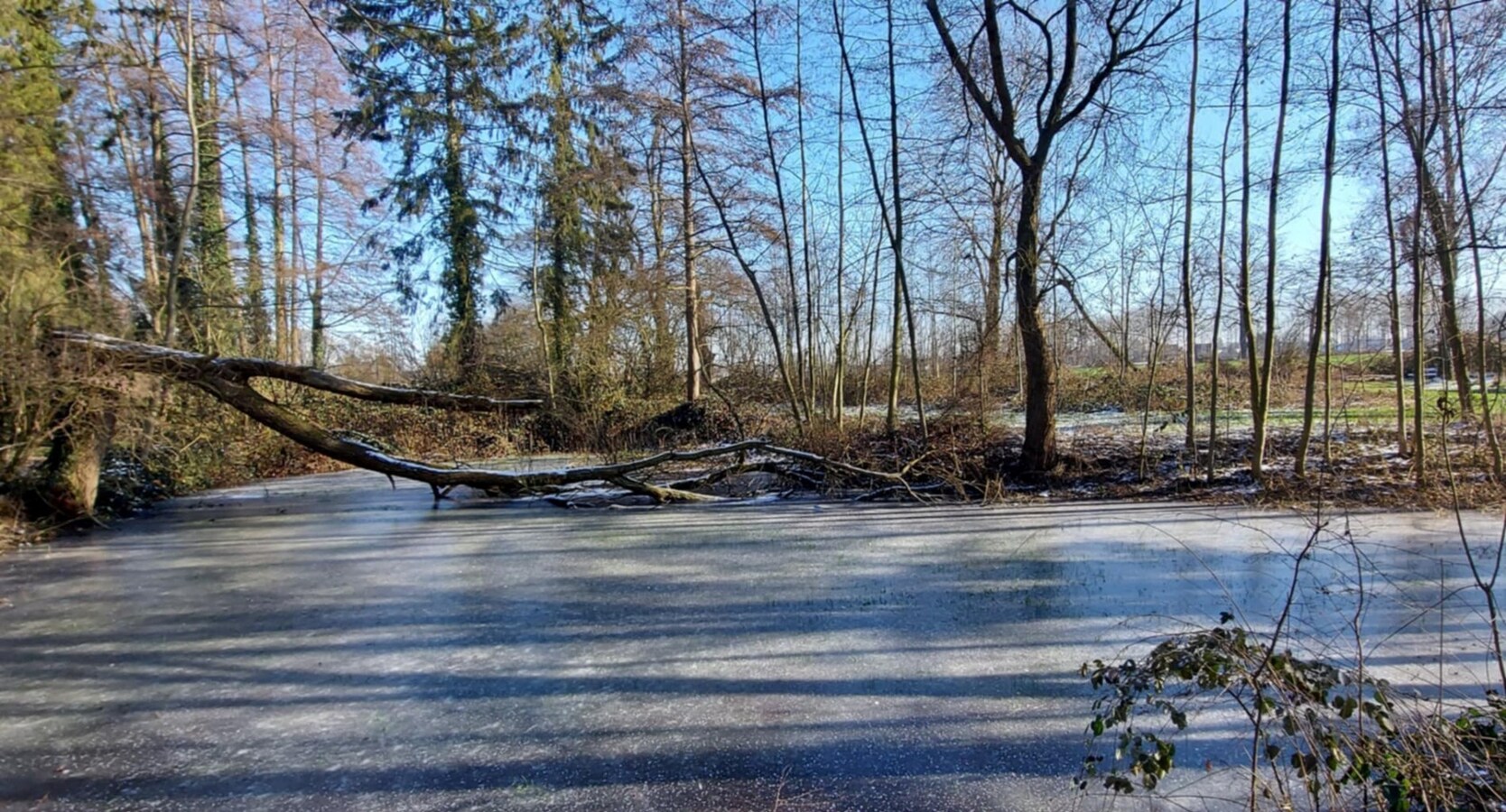 UNIEK DOMEIN MET OFF-GRID VAKANTIEWONING, SCHUUR EN 2 VIJVERS OP 1 HA 41 A 
