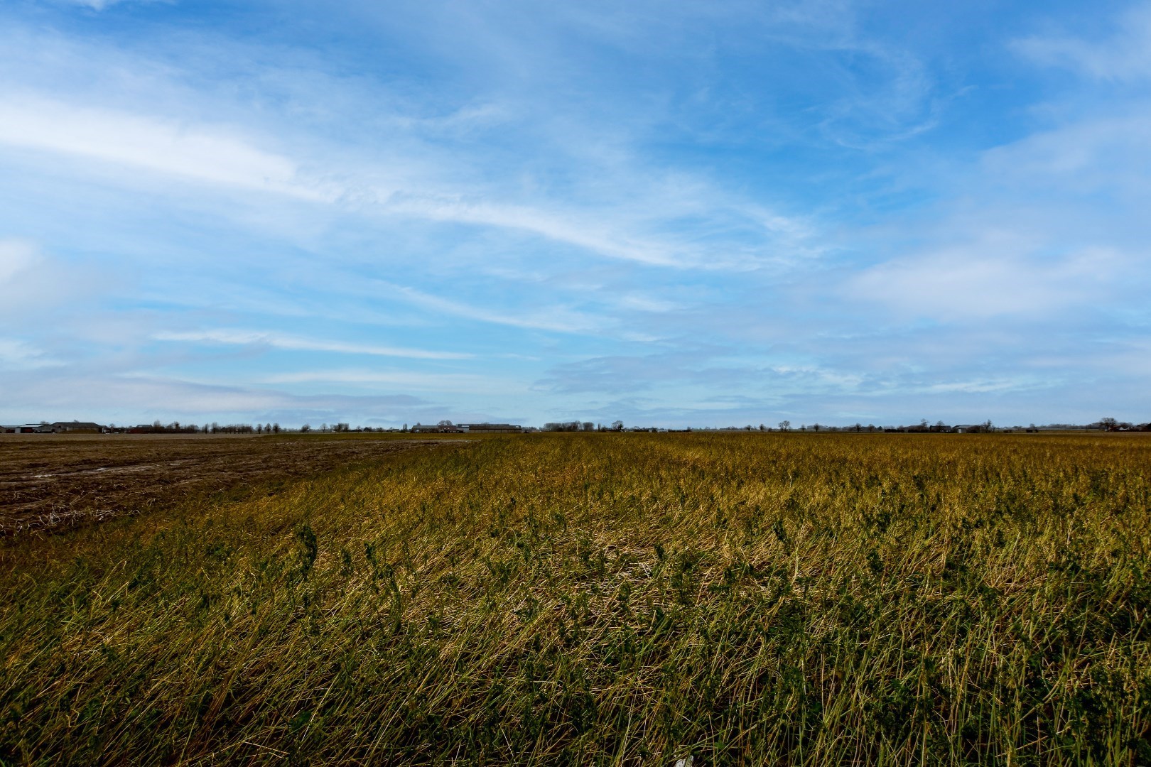 Rustig gelegen woning met 3 slaapkamers en zonnige tuin! 