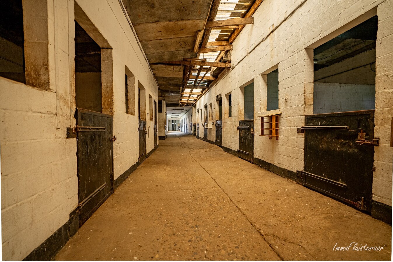 Propriété équestre avec maison à rénover à ca. 90a à Wonck (Bassenge). 