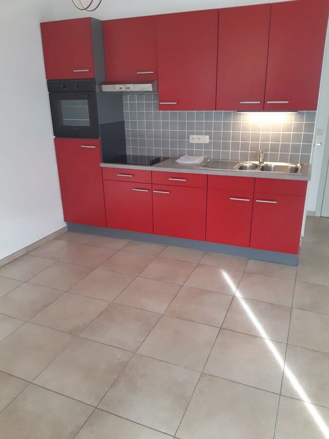 Lichtrijk 2 slpk-appartement te Oudenaarde. 