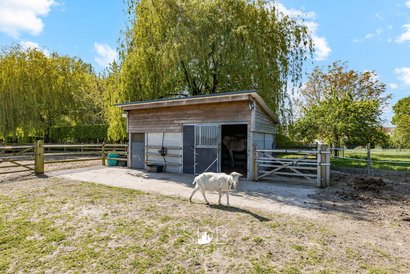 Prachtige stijlvolle woning met bijgebouwen, buitenpiste en graslanden 