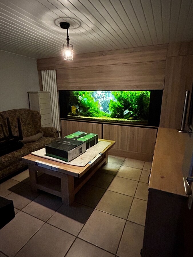 Charmant, milieuvriendelijk huis 