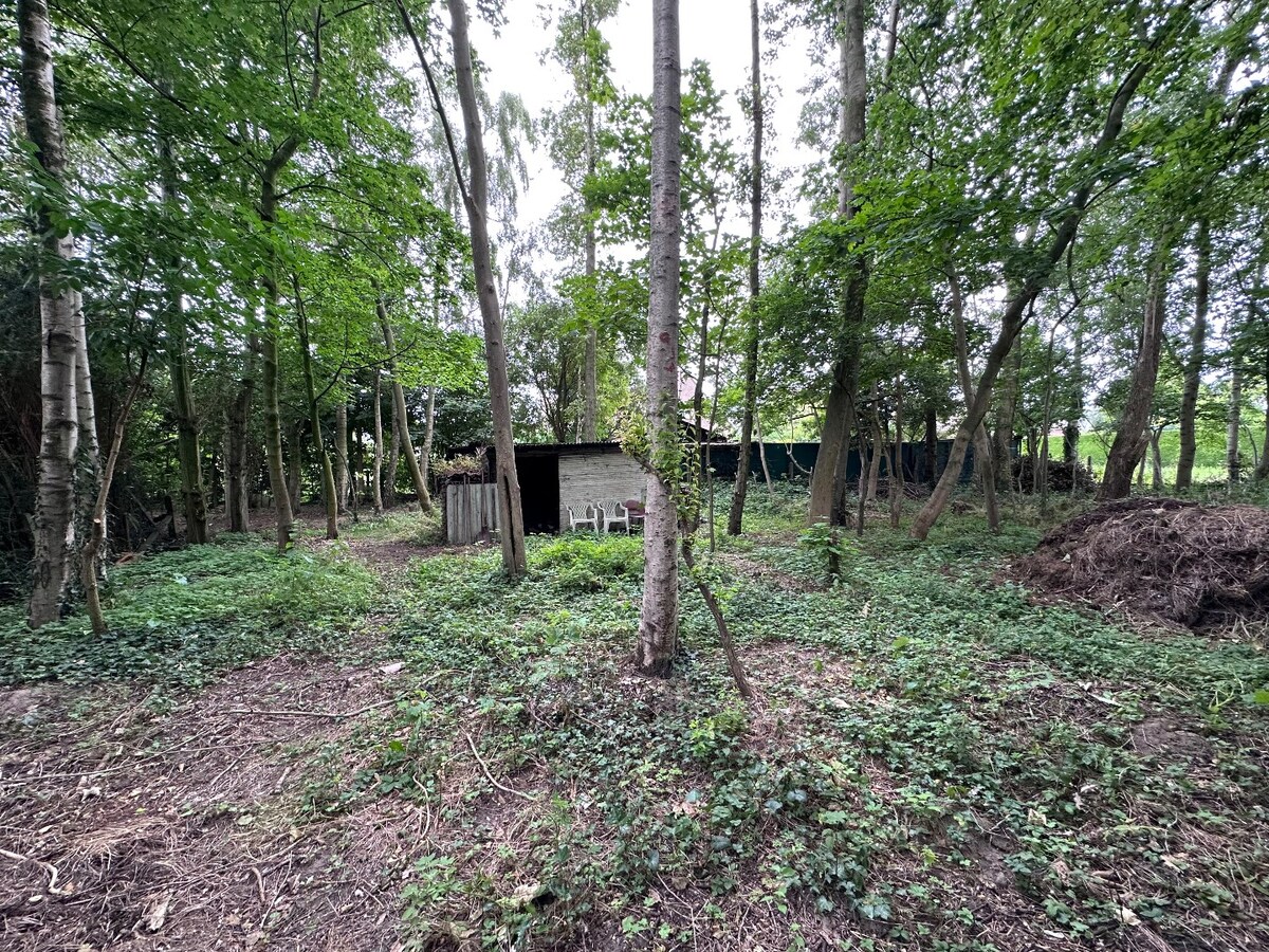 Grond te koop te Koekelare 