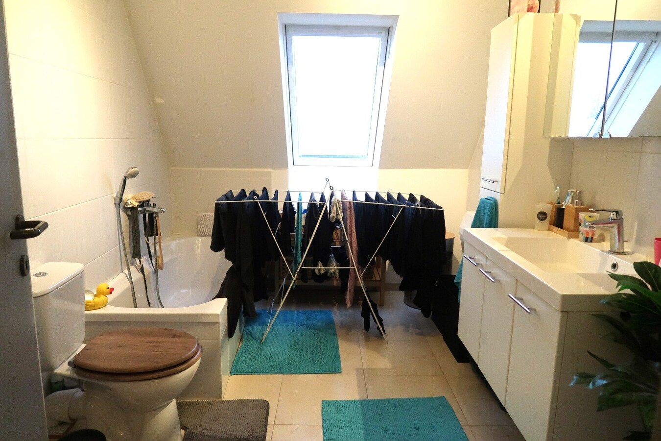 Lichtrijk duplexappartement 