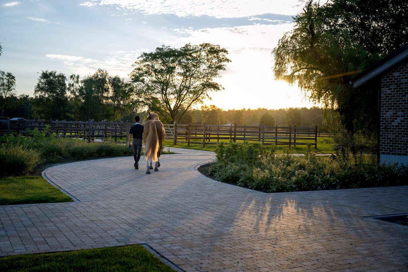 Exclusive professional equestrian accommodation (new construction) with villa on approximately 9 hectares in Neerpelt. 