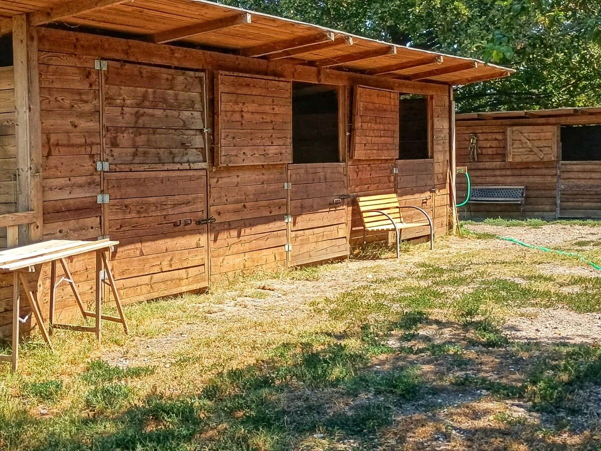 Landelijke hoeve met paardenfaciliteiten op ca. 1,3ha te Riva del Po (Noord-Italië) 
