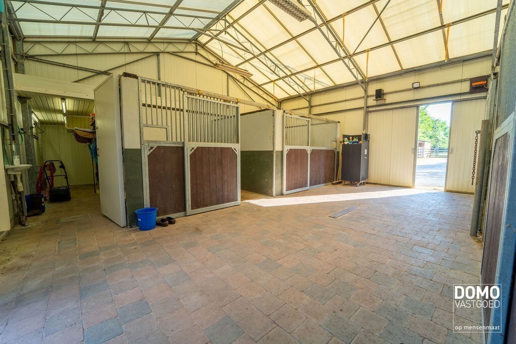 Ruime villa met paardenaccommodatie en wedstrijdstal gelegen te Herk-de-Stad - EPC-label: B - Bewoonbare vloeroppervlakte: 296m² 