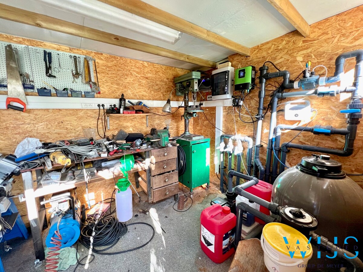 Zwemmen met zicht op de kerktoren van ERTVELDE ! 