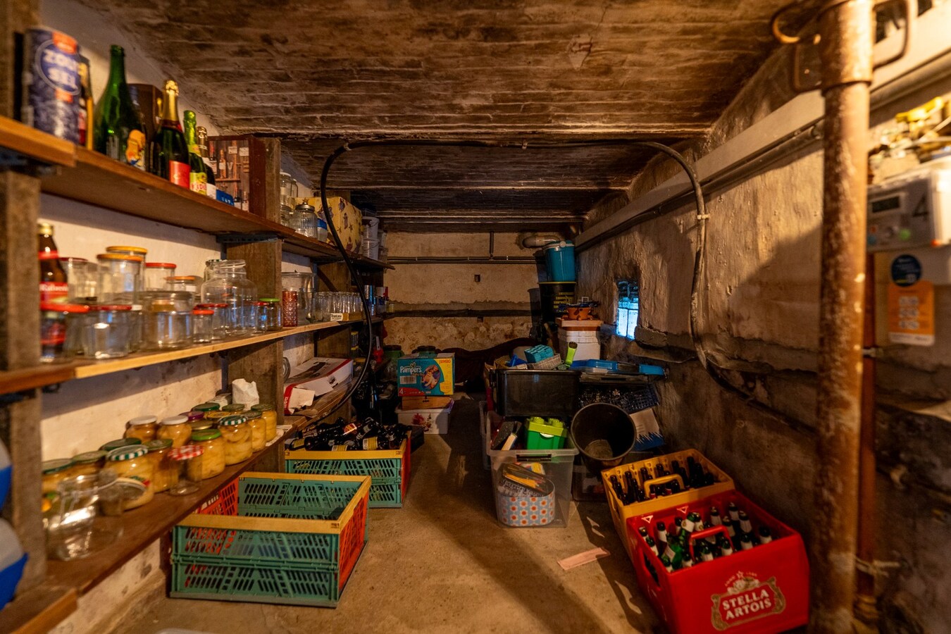 Charmante hoeve met weiland op 4.029 m² 