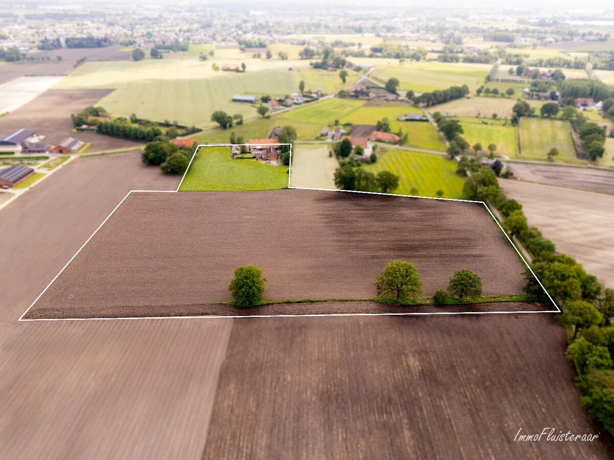 Characteristic long farmhouse with barn on approximately 4.6 hectares in Rijkevorsel. 