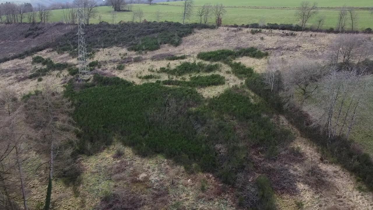 Perceel van 4ha gelegen in agrarische zone 