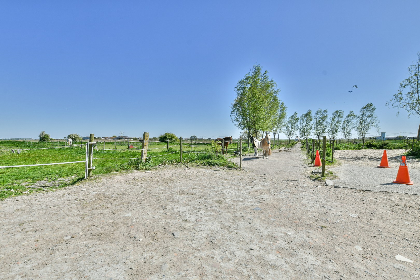 Authentieke hoeve met bouwland &amp; stallen op unieke landelijke ligging tussen De Haan en Nieuwmunster 