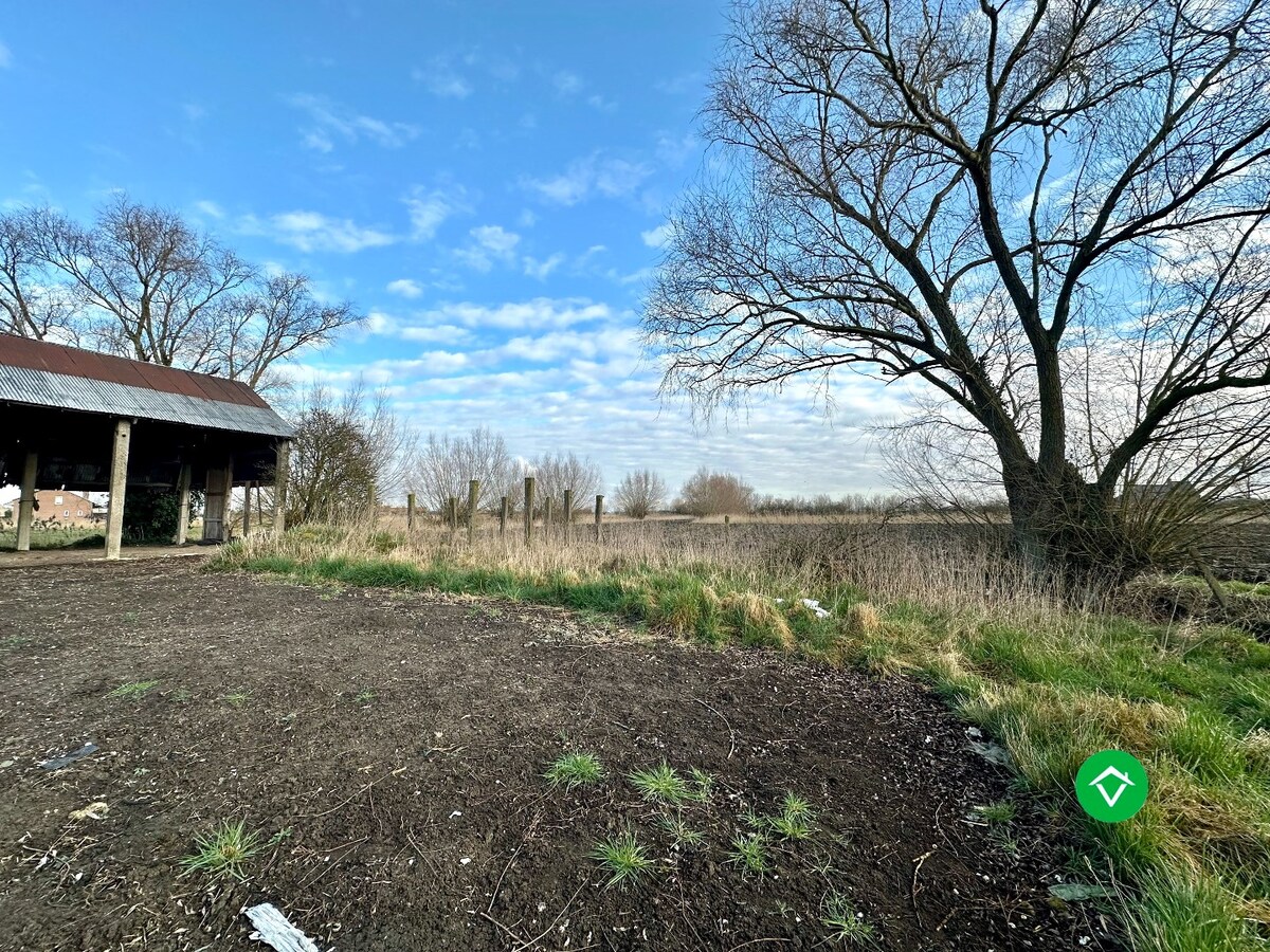 Te herbouwen of te slopen hoeve op ruim perceel in landelijke omgeving 