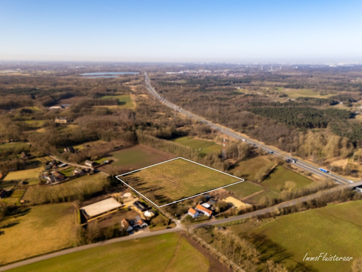 Prachtig weiland van ca. 2,5 ha te Zandhoven 