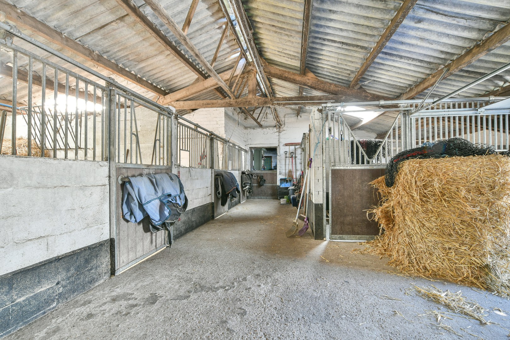 Authentieke hoeve met bouwland &amp; stallen op unieke landelijke ligging tussen De Haan en Nieuwmunster 