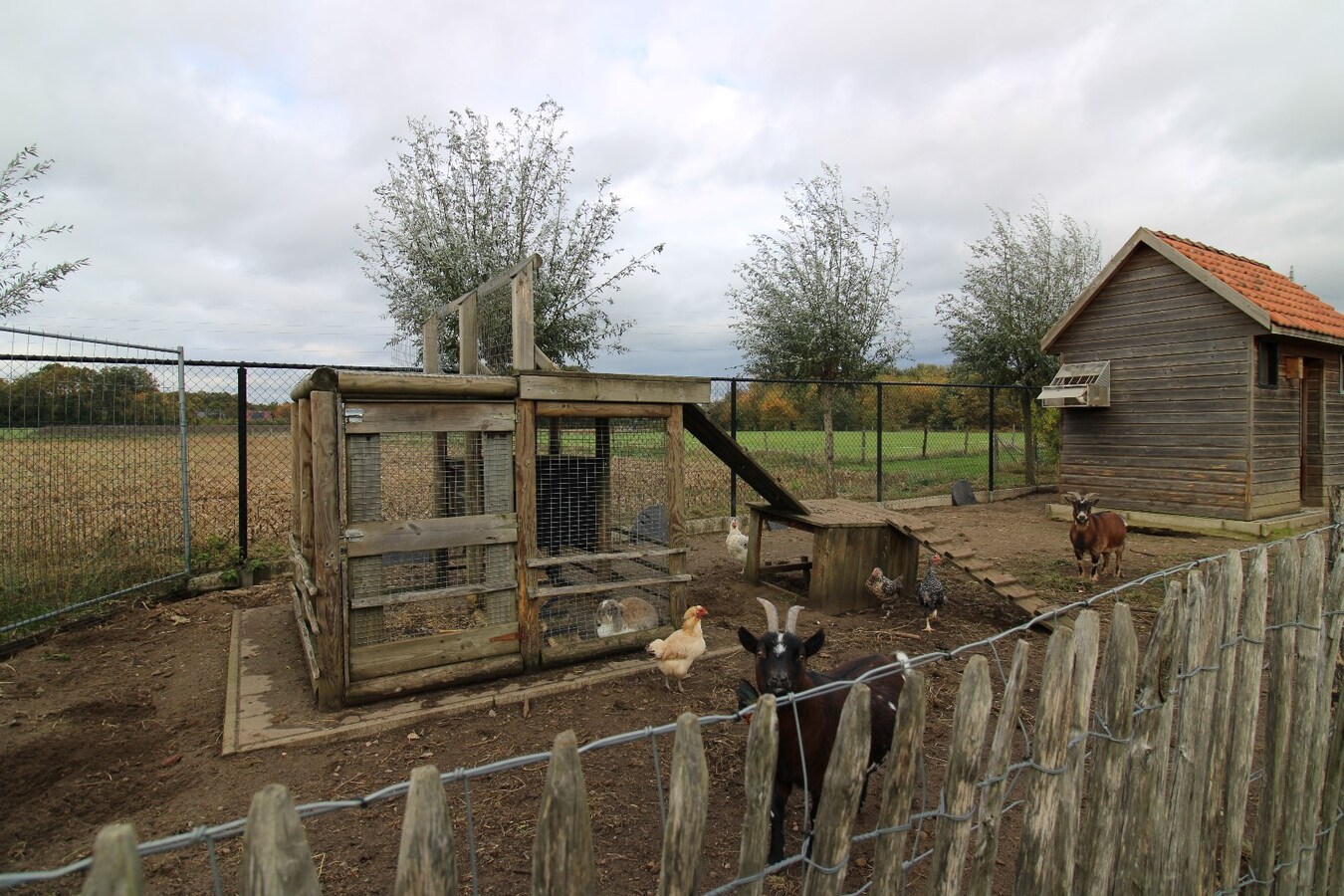 Zeer rustig gelegen open bebouwing op een prachtig perceel 