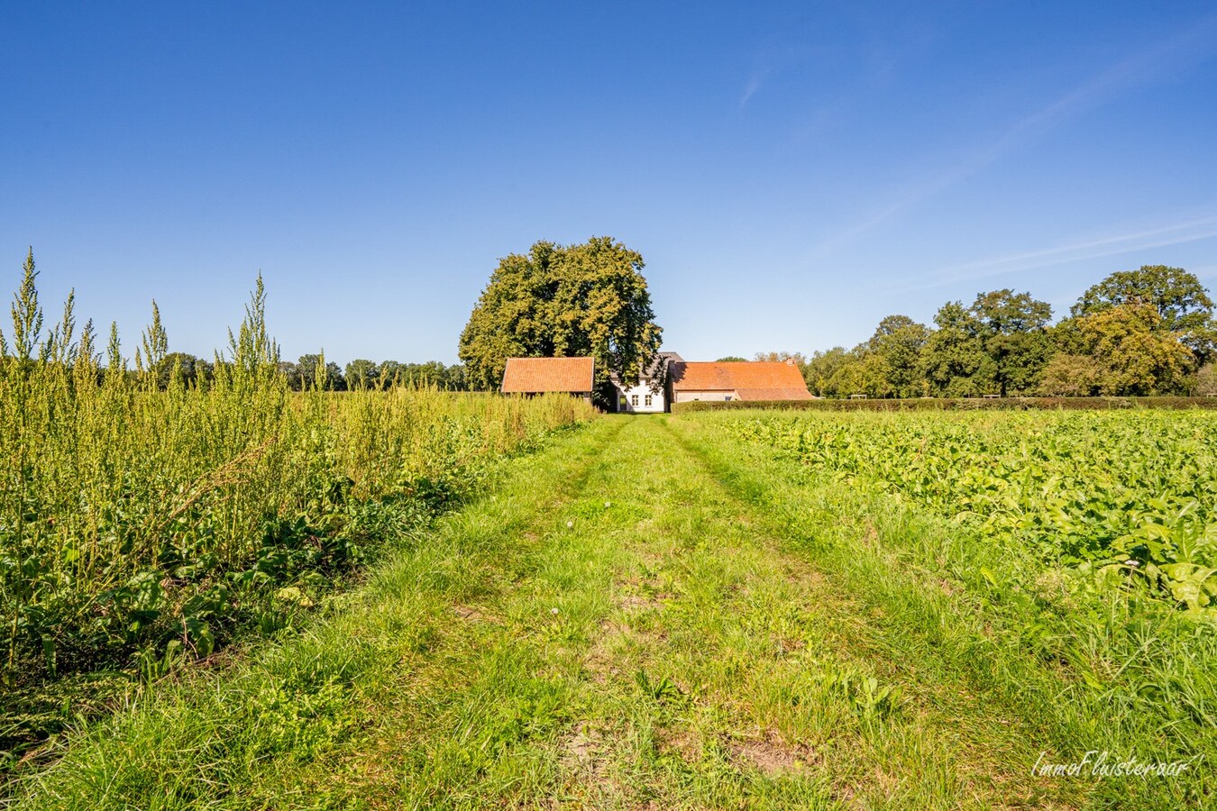 Ferme unique dans un emplacement exceptionnel sur environ 5 hectares à Peer 