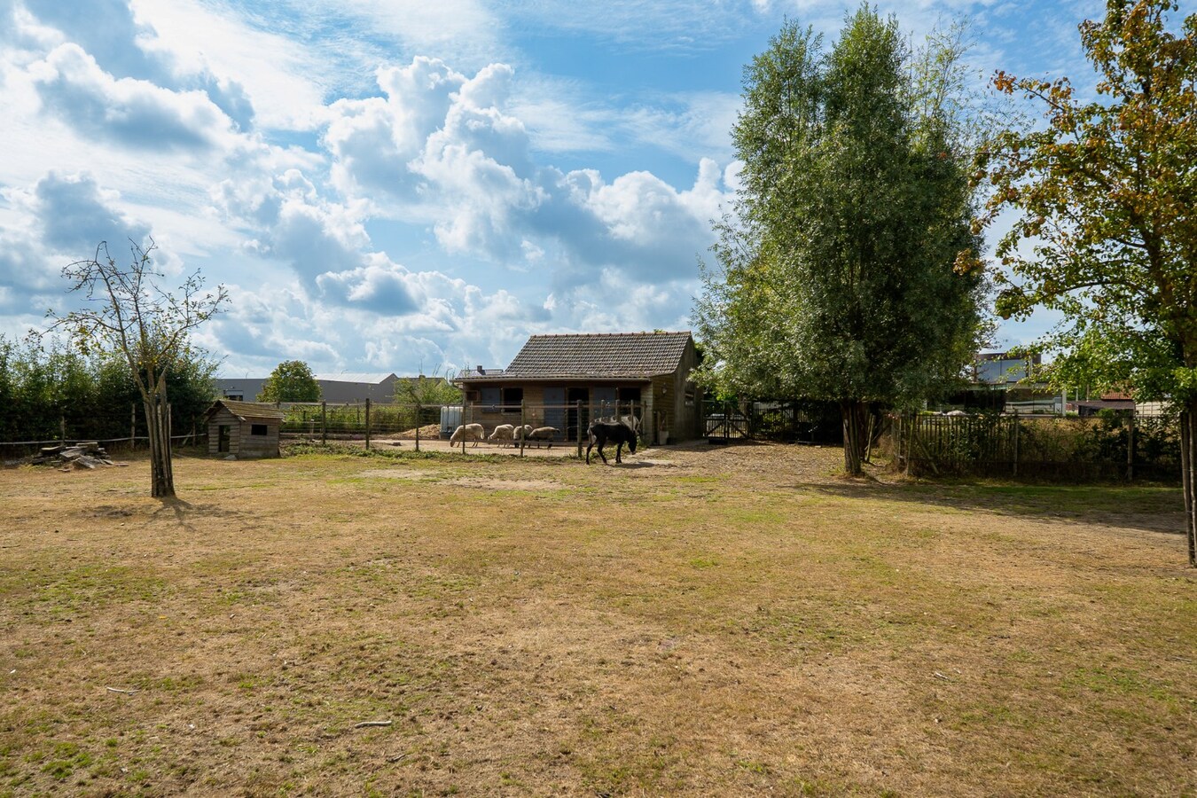 Quietly located house with a meadow of approximately 55 acres in Herk-de-Stad 