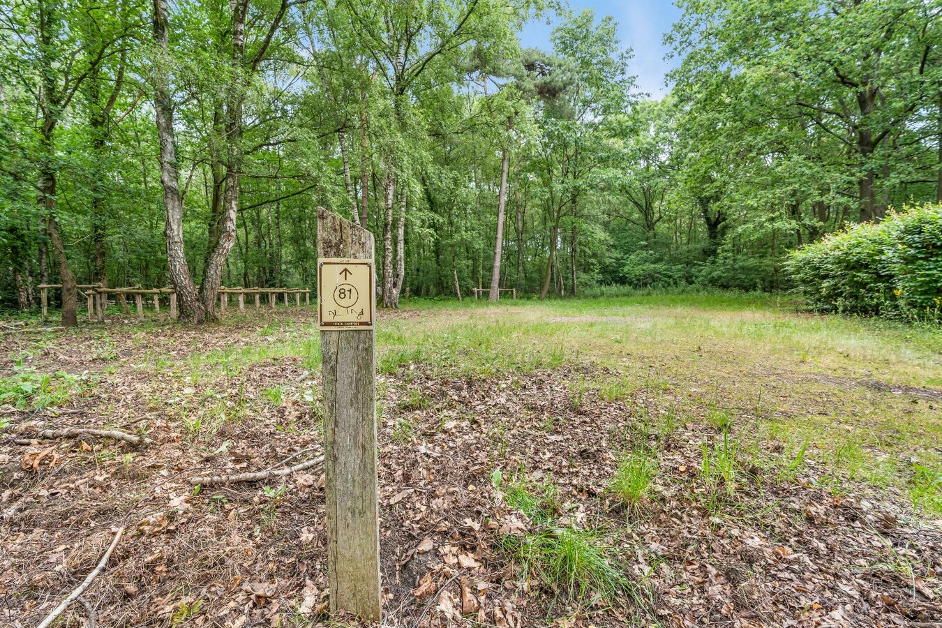 Authentiek horecapandje ideaal voor een healthy coffee-, lifestyle- en natuurconcept in het Dilserbos-Sparrendal. 
