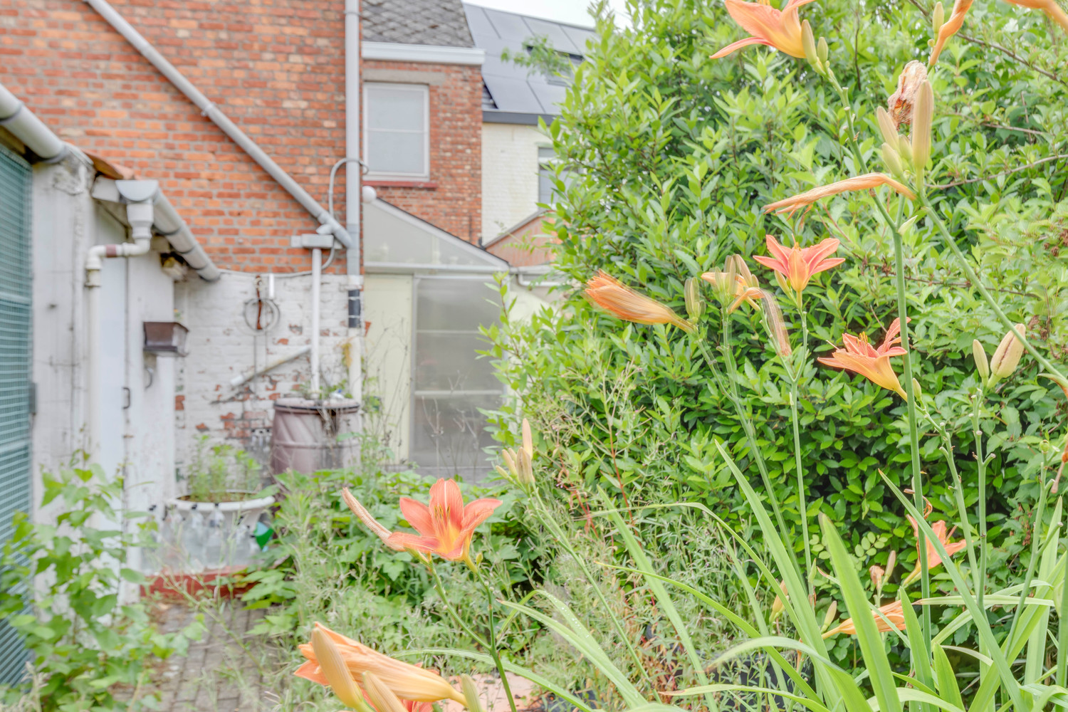Buitenkans: rijwoning met tuin te Serskamp 