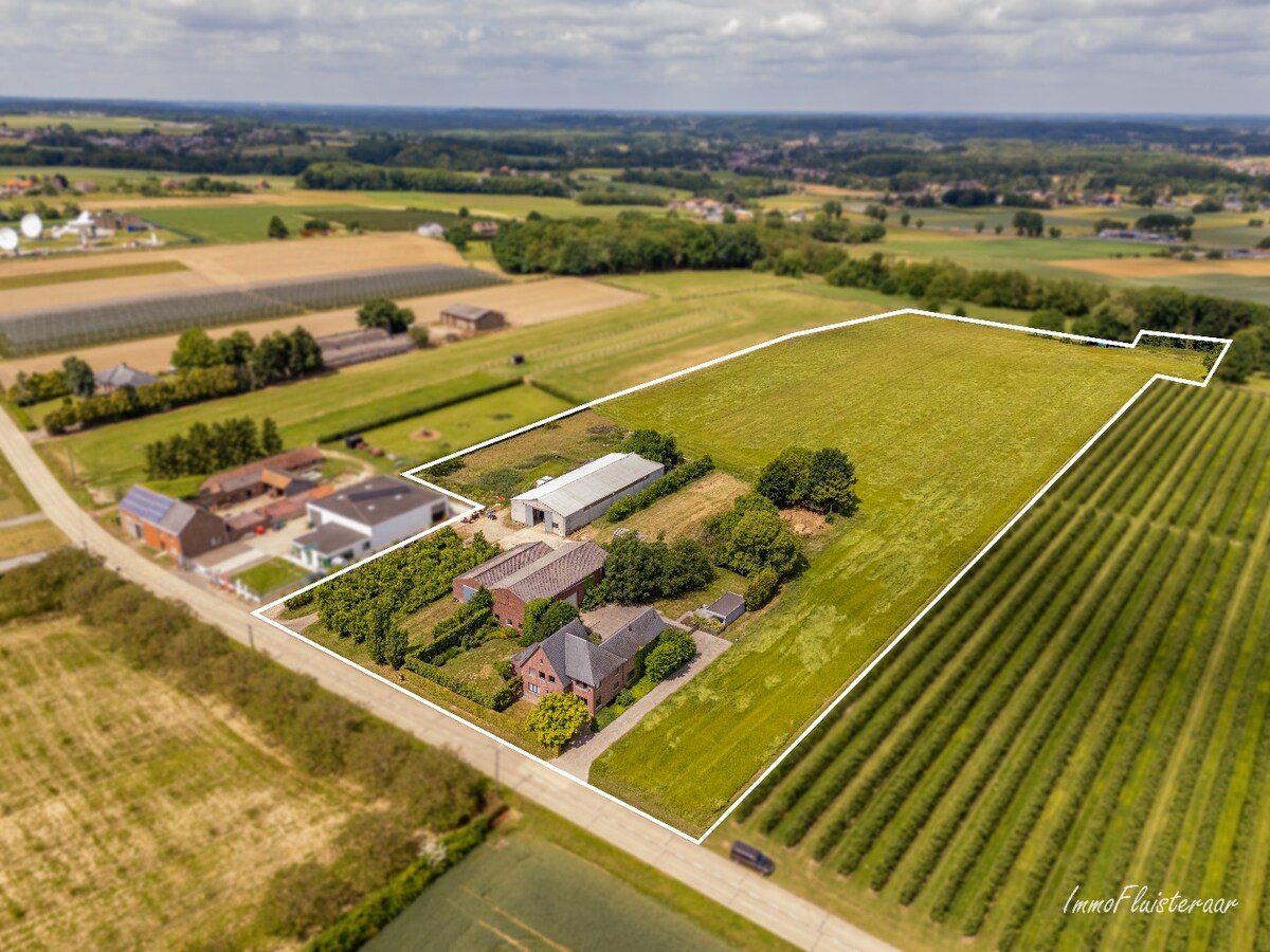 Te koop woning - Bekkevoort